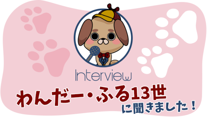 わんだー・ふる13世に聞きました！