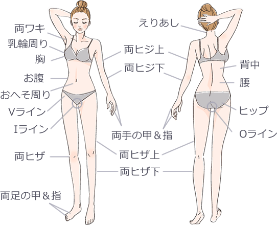 両脇、乳輪周り、胸、お腹、おへそ周り、Vライン、Iライン、両ヒザ、両足の甲&指、えりあし、両ヒジ上、両ヒジ下、両手の甲&指、両ヒザ上、両ヒザ下、背中、腰、ヒップ、Oライン