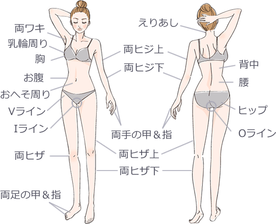 両脇、乳輪周り、胸、お腹、おへそ周り、Vライン、Iライン、両ヒザ、両足の甲＆指、えりあし、両ヒジ上、両ヒジ下、両手の甲＆指、両ヒザ上、両ヒザ下、背中、腰、ヒップ、Oライン